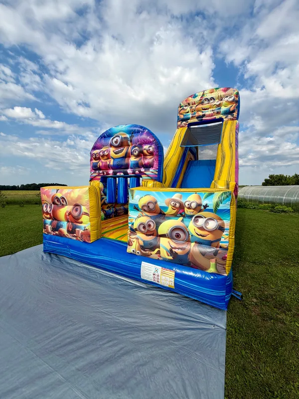 Minionu mošķi vai vienkārši piedzīvojumi.